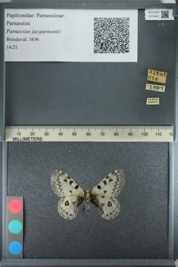 Media type: image;   Entomology 174831